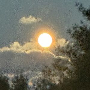 Meet your Posher, Quinn